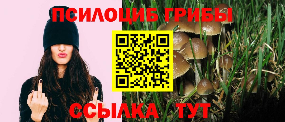 Галлюциногенные грибы GOLDEN TEACHER  Псилоцибиновые грибы мухоморы  Вход с VPN  Знаменск 